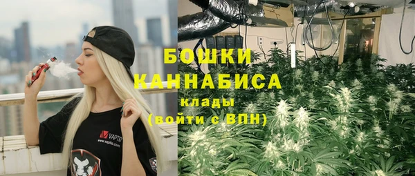 шишки Алексеевка