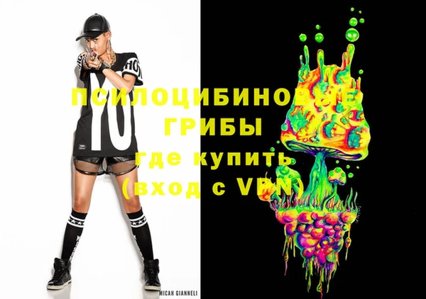шишки Алексеевка